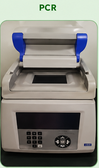 pcr